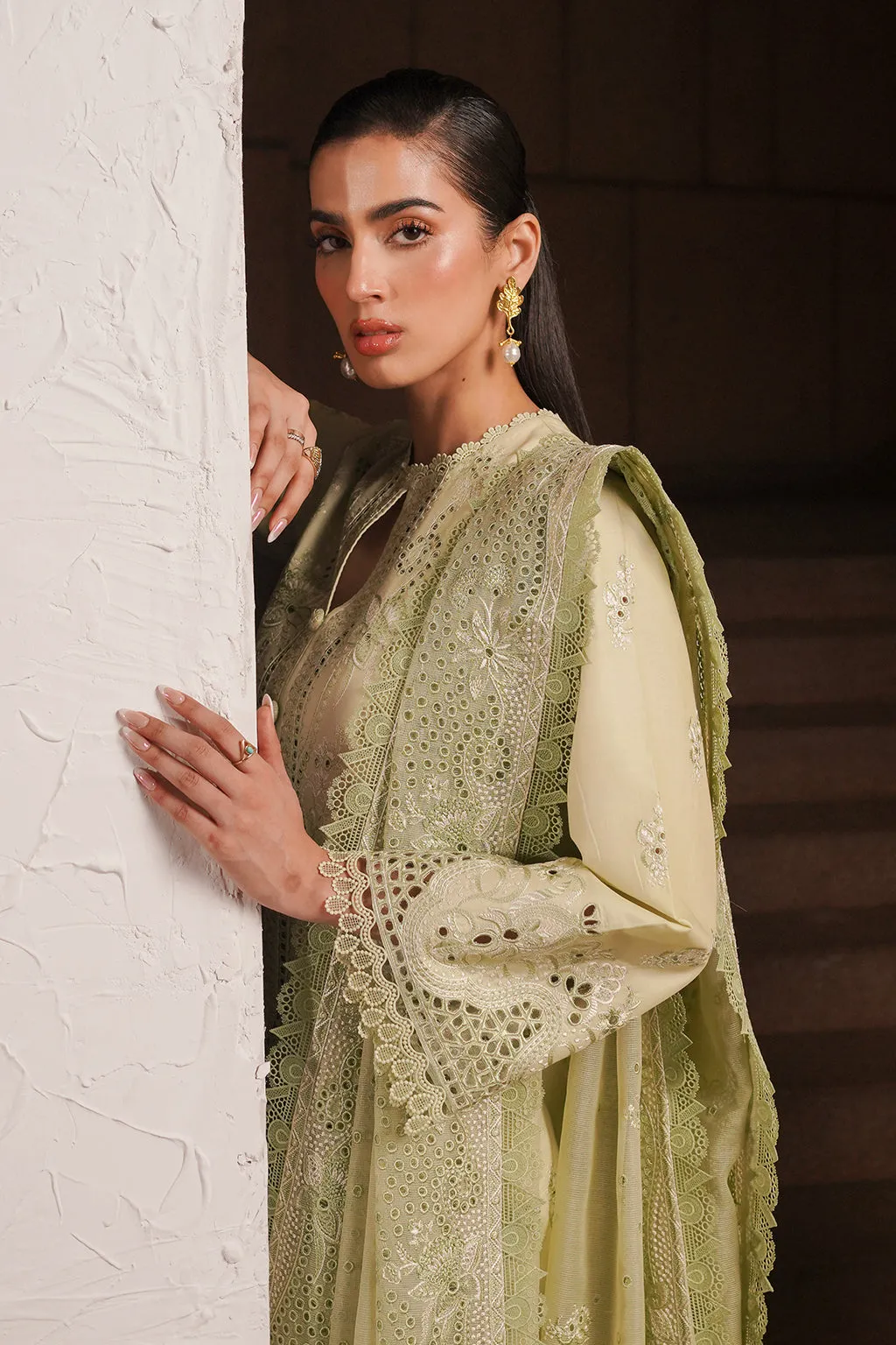 Afrozeh Festive Unstitched Chikankari Lawn 3Pc Suit AL-24-V4-02 KELLY