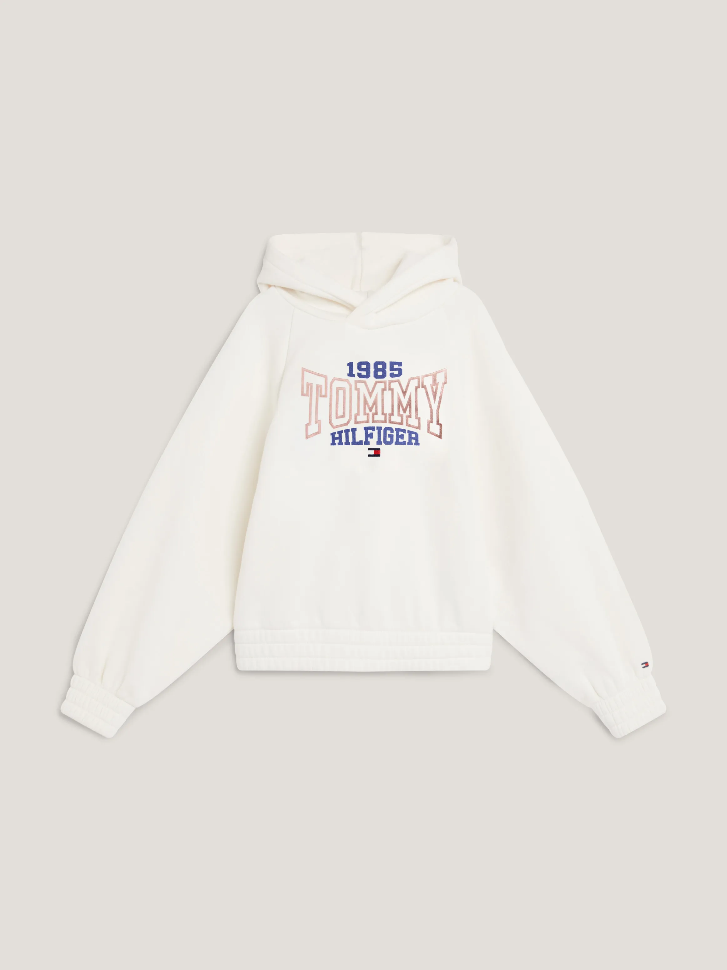 Girls 3-7 1985 Collection Varsity Logo Hoodie | Sweatshirts & Hoodies | Tommy Kids