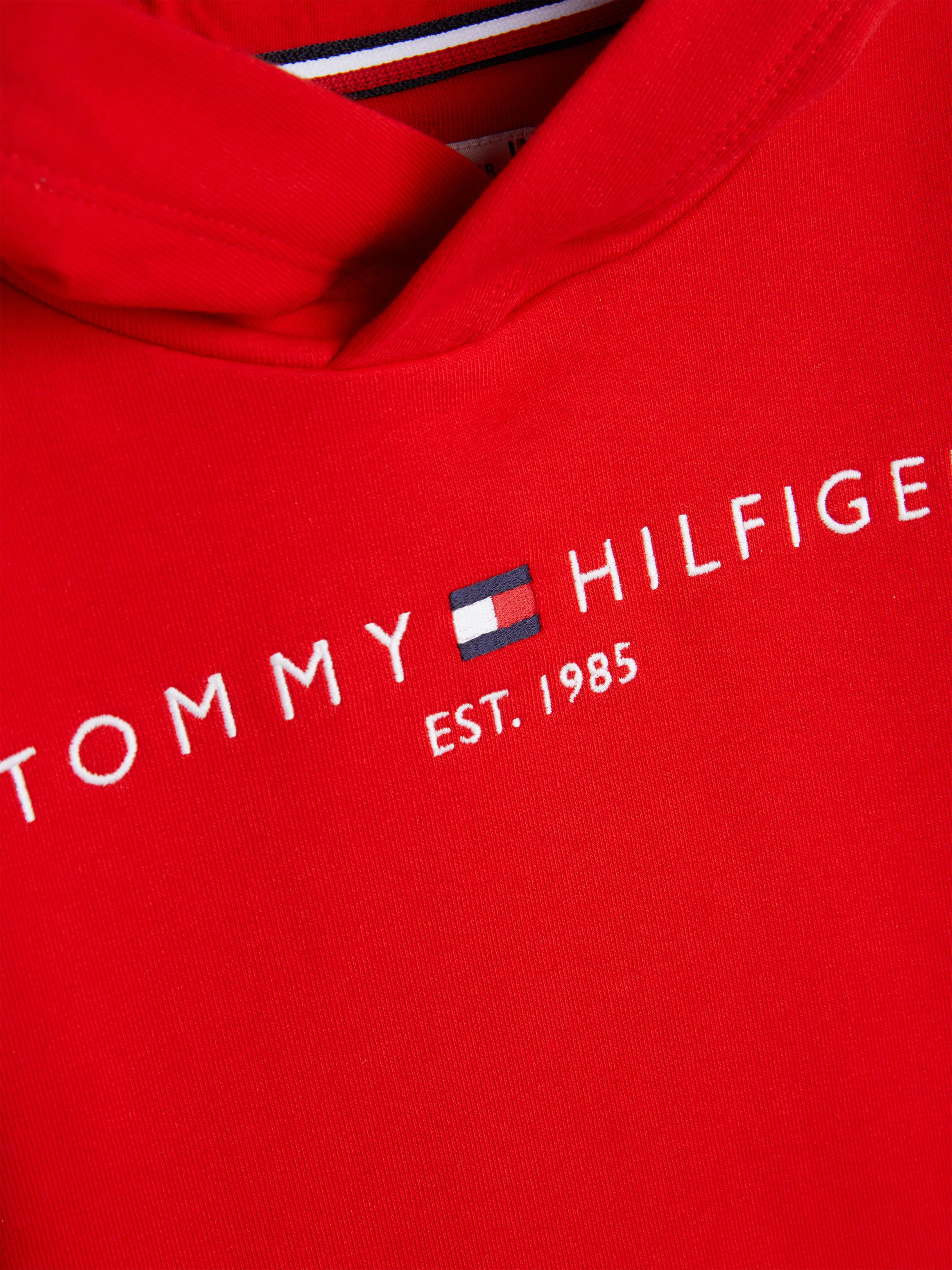 Kids Unisex 8-16 Essential  Terry Hoodie | Sweatshirts & Hoodies | Tommy Hilfiger